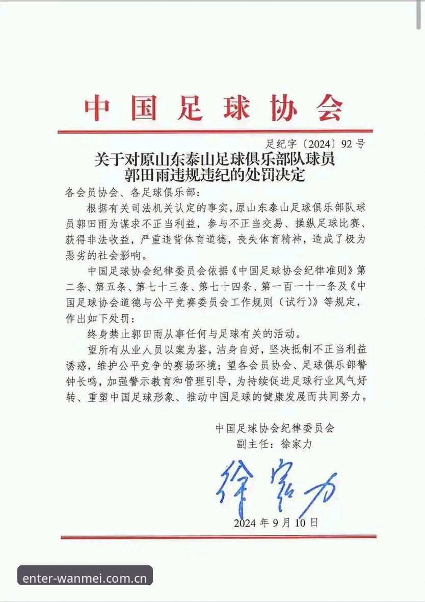 足协第三批禁足名单曝光：5类违规行为与17人终身禁赛的深度解析